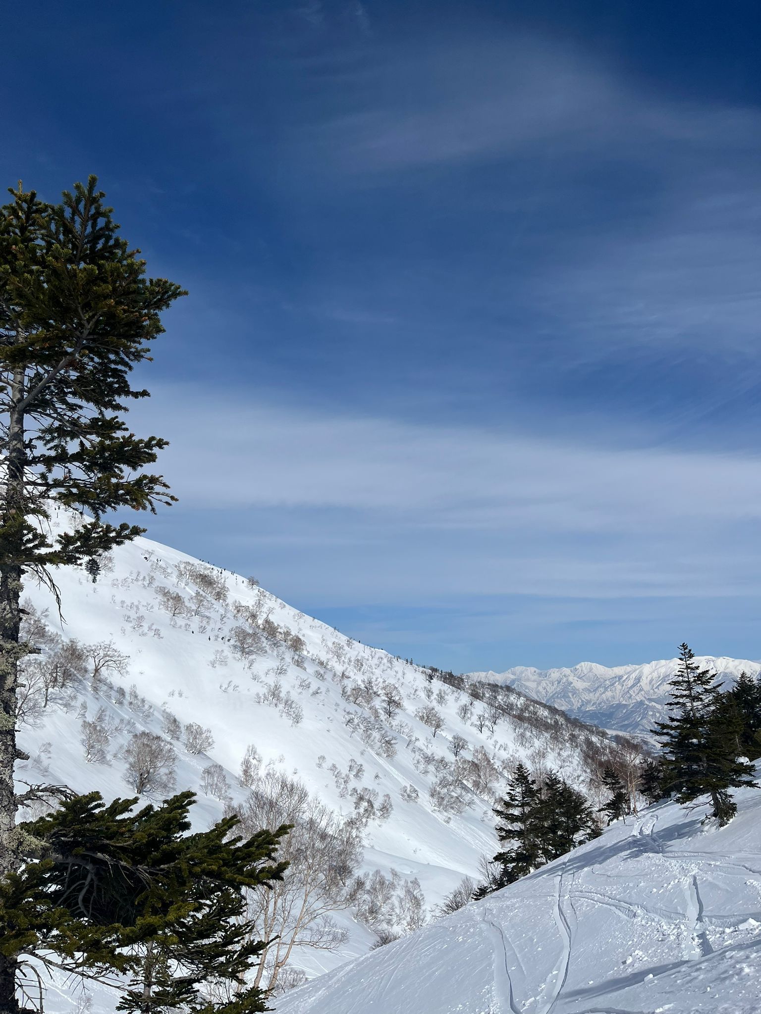 Kagura Snow Resorts-1