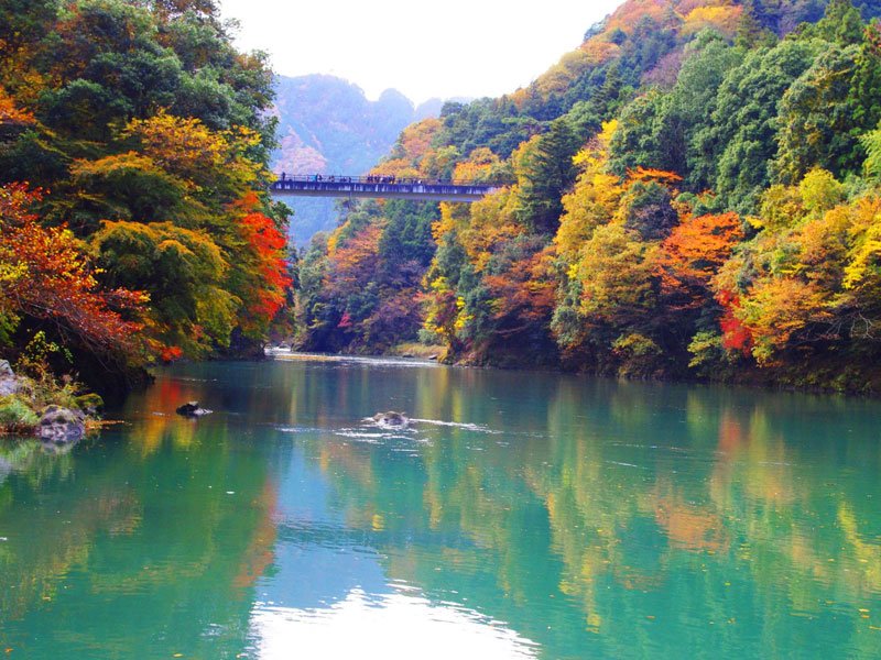 紅葉カヤック}